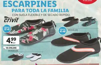 Lidl Escarpines Para Toda La Familia oferta