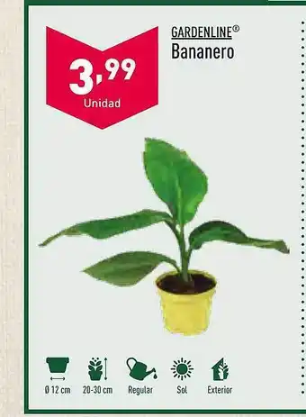 ALDI Gardenline Bananero oferta