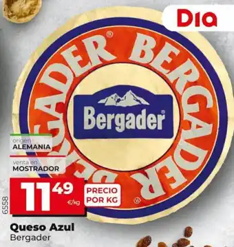 Maxi Dia Bergader Queso Azul oferta