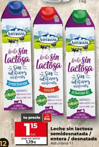 Maxi Dia Asturiana Leche Sin Lactosa Semidesnatada / Entera / Desnatada 1 L oferta