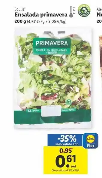 Lidl Endilis Ensalada Primavera oferta