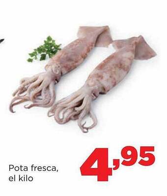 Alimerka Pota Fresca oferta