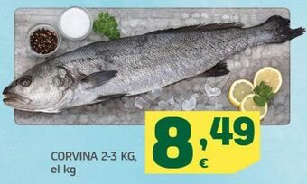 HiperDino Corvina oferta