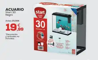Kiwoko Acuario start oferta
