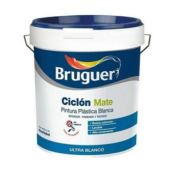 Pintura plástica ciclón - bruguer