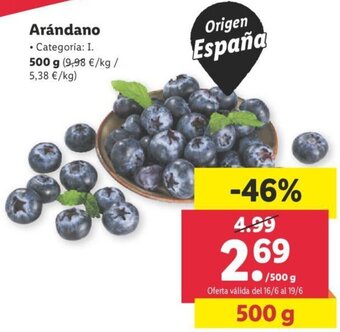 Lidl Arándano 500 g oferta