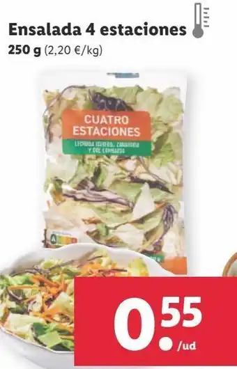 Lidl Ensalada 4 Estaciones 250 g oferta