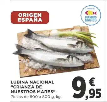 Supercor Lubina Nacional "Crianza De Nuestros Mares" 600 g oferta