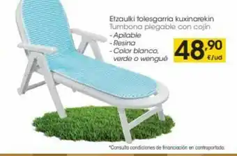 Eroski Tumbona Plegable Con Cojín oferta