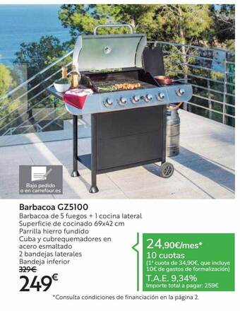Carrefour Barbacoa Gz5100 oferta