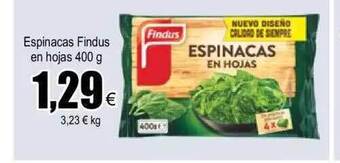 FROIZ Espinacas Findus En Hojas oferta