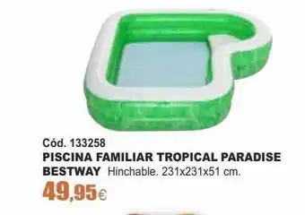 Ferrcash Piscina Familiar Tropical Paradise Besway oferta
