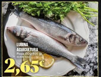 Gadis Lubina Acuicultura oferta