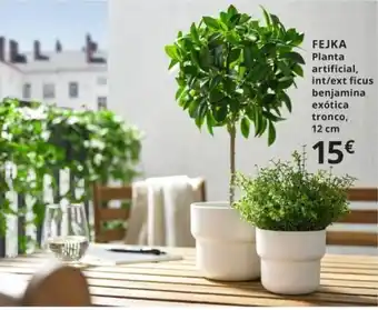 IKEA Fejka Planta artificial 12 cm oferta