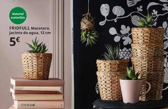 IKEA Fridfull Macetero, jacinto de agua 12 cm oferta
