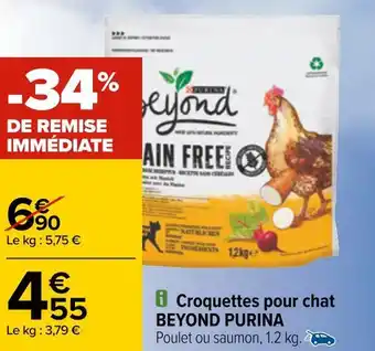 Beyond purina croquettes pour chat