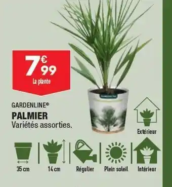 ALDI Palmiers offre