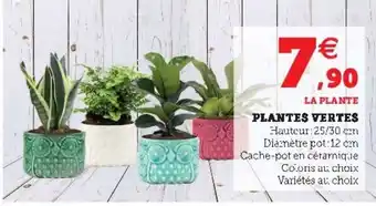 Super U Plantes vertes offre