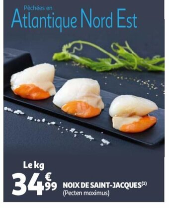 Noix De Saint-Jacques
