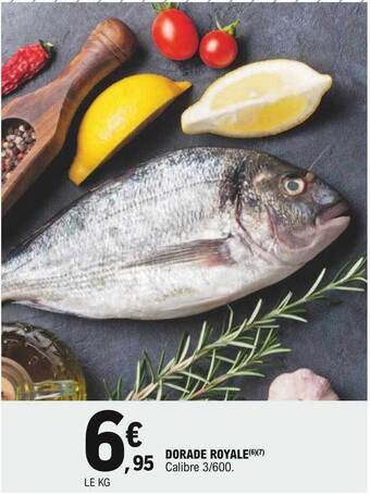 E.Leclerc Dorade Royale offre