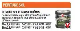 Bricorama Peinture Sol Climats Extrêmes offre