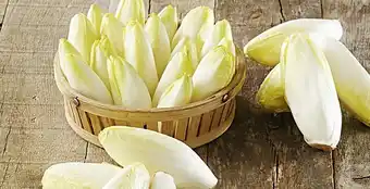 Endive