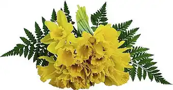 Casino Supermarchés Bouquet 20 jonquilles crayon + 2 fougères offre