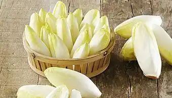 Endive