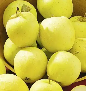 Casino Supermarchés Pomme Golden offre