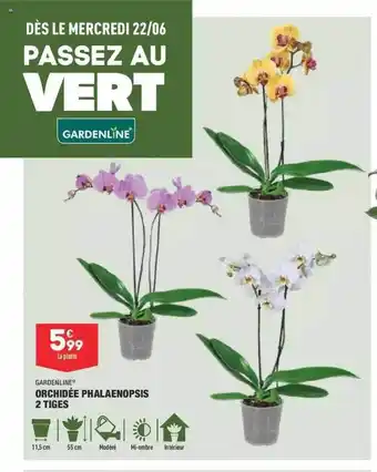 ALDI Orchidée Phalaenopsis 2 Tiges offre