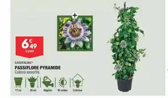 ALDI Passiflore Pyramide Gardenline offre