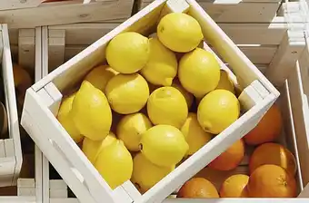 Casino Supermarchés Citron Bio offre