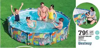 Centrakor La Piscine Tubulaire Animaux Bestway offre