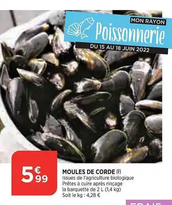 Moules De Corde