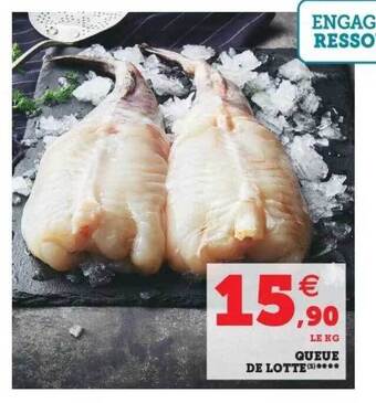 Super U Queue De Lotte offre