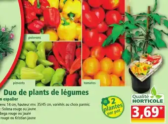 Norma Duo de plants de légumes offre
