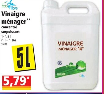 Norma Vinaigre ménager offre
