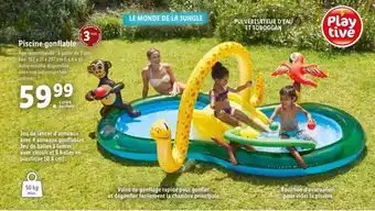 Lidl Piscine Gonflable offre