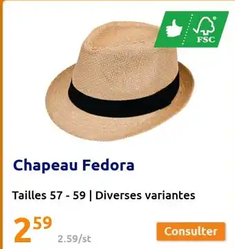 Action Chapeau Fedora offre