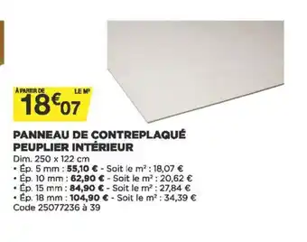 Bricomarché Panneau de Contreplaqué Peuplier Intérieur offre