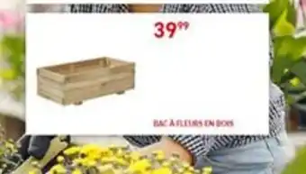 Trafic Bac à Fleurs en Bois offre