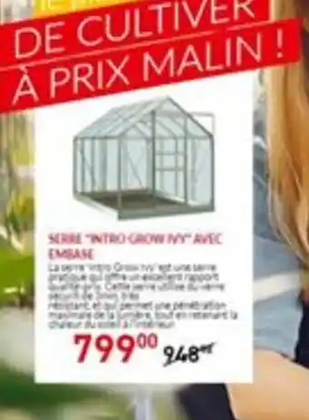 Trafic Serre Intro Grow Ivy Avec Embase offre
