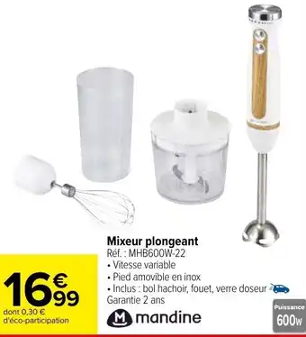 Carrefour MANDINE mixeur plongeant offre