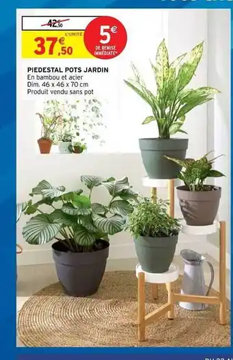 Intermarché Hyper Piédestal Pots Jardin offre