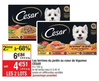 Cora x Carrefour Les terrines du jardin au cœur de légumes offre
