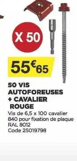 Bricomarché 50 Vis Autoforeuses + Cavalier Rouge offre