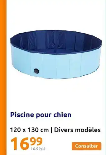 Piscine Pour Chien