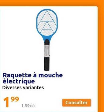 Action Raquette à Mouche électrique offre