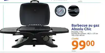 Action Barbecue Au Gaz Absolu Chic offre