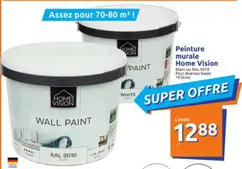 Action Peinture Murale Home Vision offre